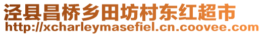 涇縣昌橋鄉(xiāng)田坊村東紅超市