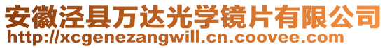 安徽涇縣萬達(dá)光學(xué)鏡片有限公司