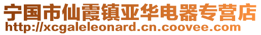 寧國(guó)市仙霞鎮(zhèn)亞華電器專營(yíng)店