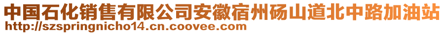 中國石化銷售有限公司安徽宿州碭山道北中路加油站