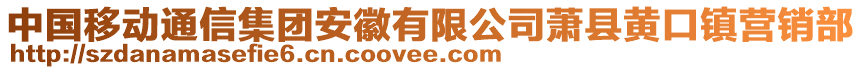 中國(guó)移動(dòng)通信集團(tuán)安徽有限公司蕭縣黃口鎮(zhèn)營(yíng)銷(xiāo)部