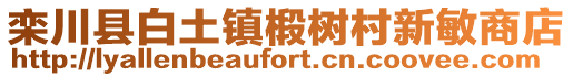 栾川县白土镇椴树村新敏商店