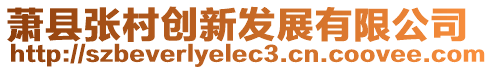 萧县张村创新发展有限公司