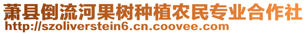 蕭縣倒流河果樹種植農(nóng)民專業(yè)合作社