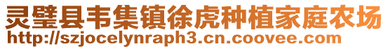 靈璧縣韋集鎮(zhèn)徐虎種植家庭農(nóng)場(chǎng)