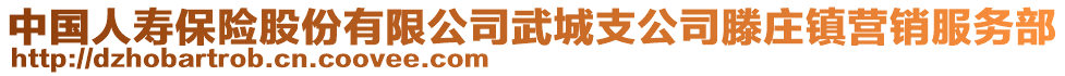 中國(guó)人壽保險(xiǎn)股份有限公司武城支公司滕莊鎮(zhèn)營(yíng)銷(xiāo)服務(wù)部