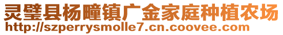 靈璧縣楊疃鎮(zhèn)廣金家庭種植農(nóng)場(chǎng)