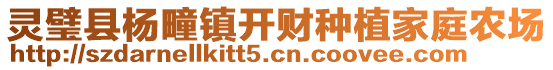 灵璧县杨疃镇开财种植家庭农场