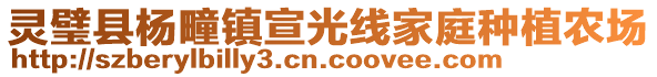 靈璧縣楊疃鎮(zhèn)宣光線家庭種植農(nóng)場