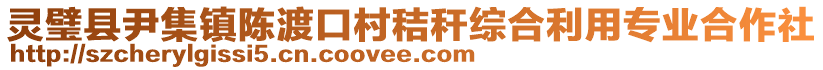 靈璧縣尹集鎮(zhèn)陳渡口村秸稈綜合利用專業(yè)合作社