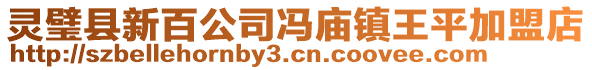 灵璧县新百公司冯庙镇王平加盟店