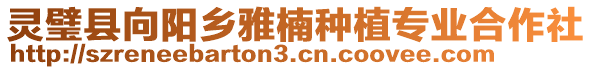 靈璧縣向陽(yáng)鄉(xiāng)雅楠種植專業(yè)合作社