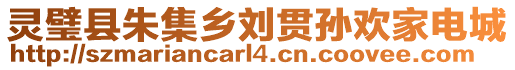 靈璧縣朱集鄉劉貫孫歡家電城