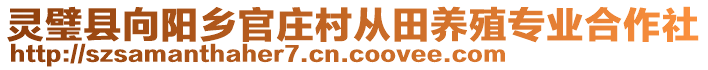 靈璧縣向陽鄉官莊村從田養殖專業合作社