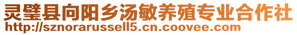 靈璧縣向陽鄉(xiāng)湯敏養(yǎng)殖專業(yè)合作社