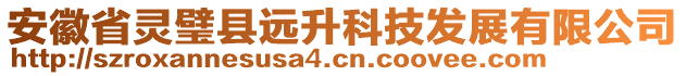 安徽省靈璧縣遠升科技發展有限公司