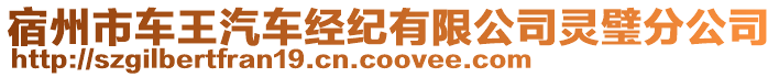 宿州市車王汽車經(jīng)紀(jì)有限公司靈璧分公司