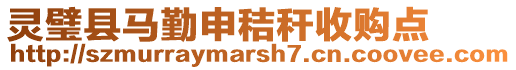 靈璧縣馬勤申秸稈收購點