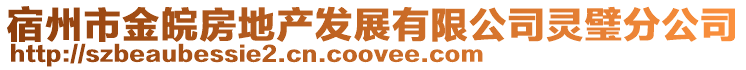 宿州市金皖房地產(chǎn)發(fā)展有限公司靈璧分公司