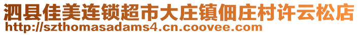 泗縣佳美連鎖超市大莊鎮(zhèn)佃莊村許云松店