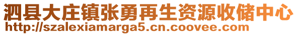 泗縣大莊鎮(zhèn)張勇再生資源收儲中心