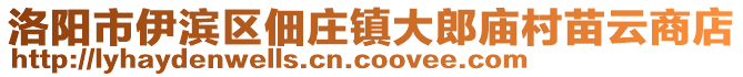 洛陽市伊濱區(qū)佃莊鎮(zhèn)大郎廟村苗云商店