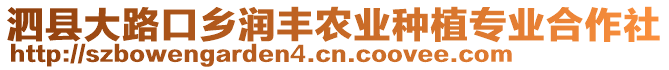 泗县大路口乡润丰农业种植专业合作社