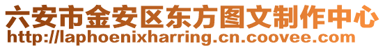 六安市金安区东方图文制作中心