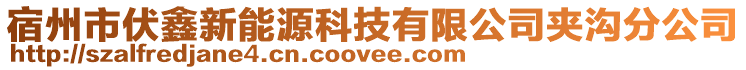 宿州市伏鑫新能源科技有限公司夹沟分公司