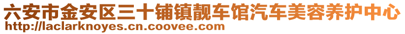 六安市金安區(qū)三十鋪鎮(zhèn)靚車館汽車美容養(yǎng)護中心