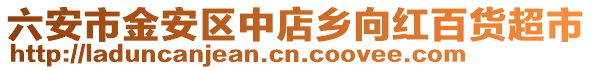 六安市金安區(qū)中店鄉(xiāng)向紅百貨超市