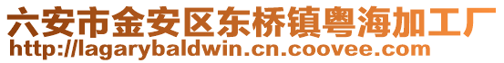 六安市金安区东桥镇粤海加工厂