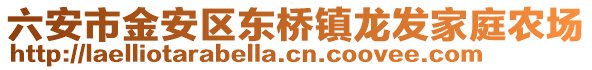 六安市金安區(qū)東橋鎮(zhèn)龍發(fā)家庭農(nóng)場