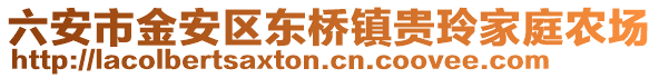 六安市金安区东桥镇贵玲家庭农场