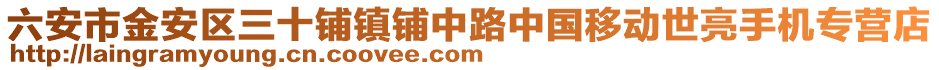 六安市金安區(qū)三十鋪鎮(zhèn)鋪中路中國移動世亮手機專營店