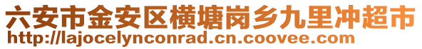 六安市金安區(qū)橫塘崗鄉(xiāng)九里沖超市