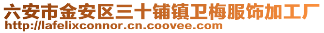 六安市金安区三十铺镇卫梅服饰加工厂