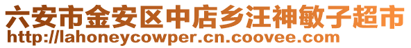 六安市金安區中店鄉汪神敏子超市