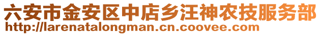 六安市金安区中店乡汪神农技服务部