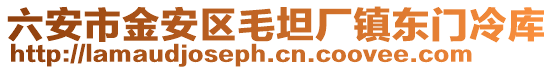 六安市金安區(qū)毛坦廠鎮(zhèn)東門冷庫