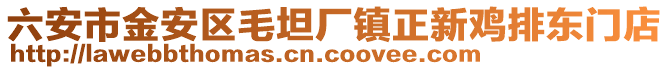 六安市金安區(qū)毛坦廠鎮(zhèn)正新雞排東門店