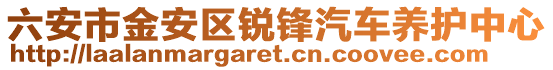 六安市金安區(qū)銳鋒汽車養(yǎng)護(hù)中心
