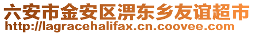 六安市金安區(qū)淠東鄉(xiāng)友誼超市