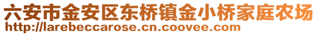 六安市金安區東橋鎮金小橋家庭農場