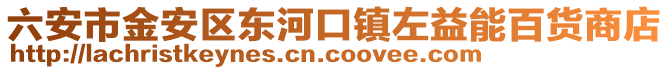 六安市金安區(qū)東河口鎮(zhèn)左益能百貨商店