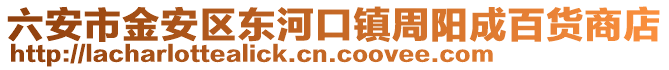 六安市金安區(qū)東河口鎮(zhèn)周陽成百貨商店