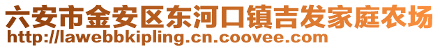 六安市金安區(qū)東河口鎮(zhèn)吉發(fā)家庭農(nóng)場(chǎng)