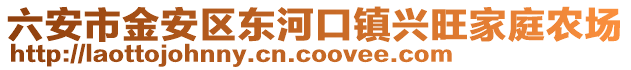六安市金安區東河口鎮興旺家庭農場