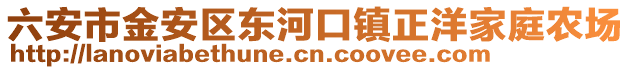 六安市金安區(qū)東河口鎮(zhèn)正洋家庭農(nóng)場(chǎng)