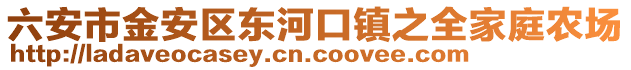 六安市金安區東河口鎮之全家庭農場